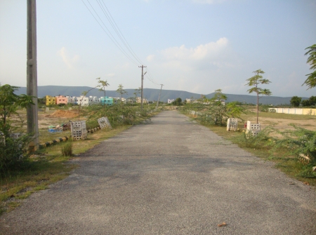 2) Open plots for Sale Near Tirupati - Tar Road.JPG